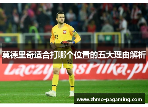 莫德里奇适合打哪个位置的五大理由解析