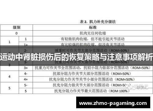运动中肾脏损伤后的恢复策略与注意事项解析