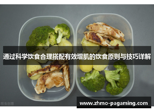 通过科学饮食合理搭配有效增肌的饮食原则与技巧详解