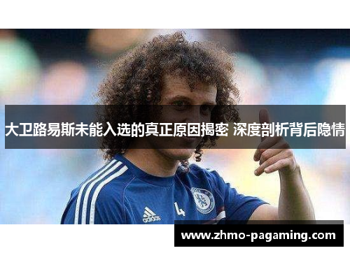 大卫路易斯未能入选的真正原因揭密 深度剖析背后隐情